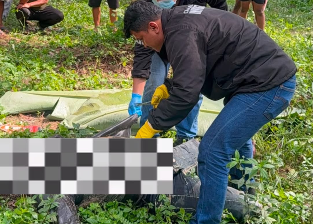 Warga Pelalawan Temukan Mayat Petani Membusuk di Kebun Sawit, Ini Penjelasan Polisi