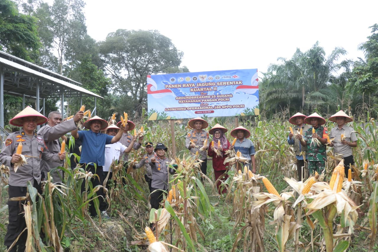 Panen Raya Jagung, Polres Dumai Hasilkan 1 Ton Jagung Pipil