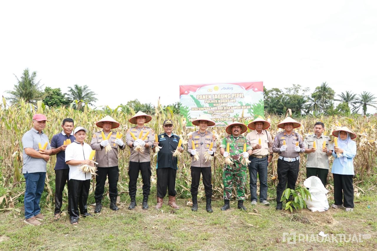 Dukung Ketahanan Pangan, Polres Kuansing Tanam Jagung 10 Hektar di Lahan PT Adimulia Agrolestari 