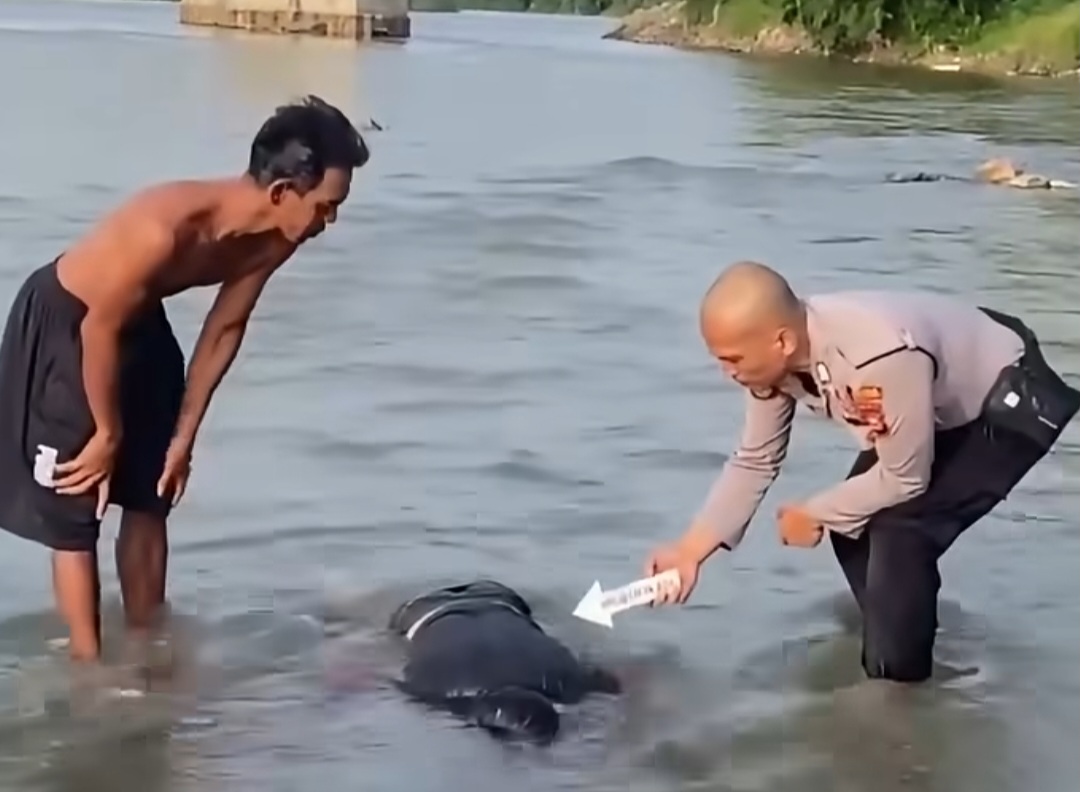 Mayat Pria Berbaju Hitam Ditemukan Tersangkut di Bebatuan Sungai Rokan Ujung Batu