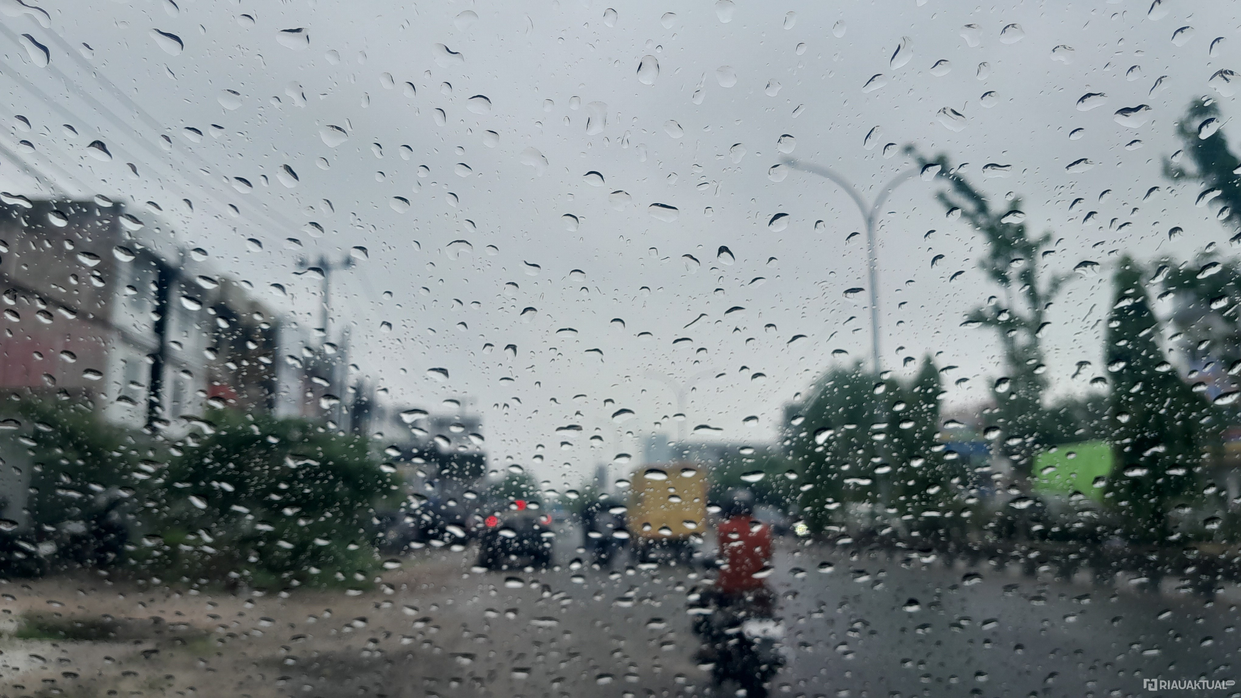 BMKG Prediksi Hujan Guyur Sejumlah Wilayah Riau, Waspada Petir dan Angin Kencang