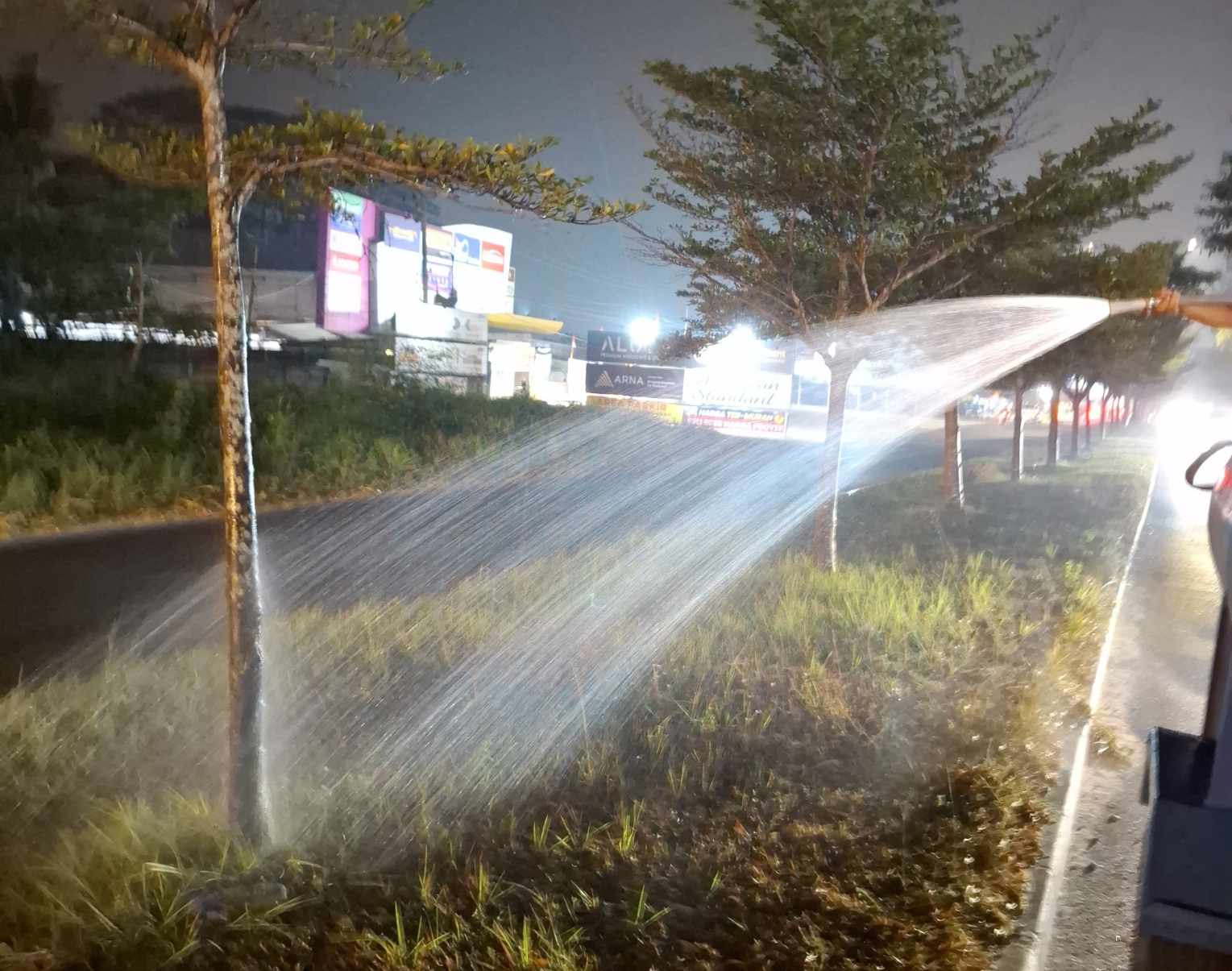 Demi Tanaman Jalan Tetap Hijau Saat Kemarau, DLHK Pekanbaru Intensifkan Penyiraman 4 Kali Sehari