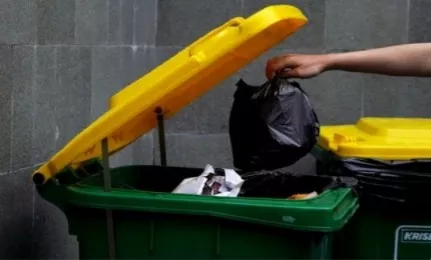 Satu-satunya Tugas Rumah Tangga yang Banyak Dilakukan Ayah: Buang Sampah