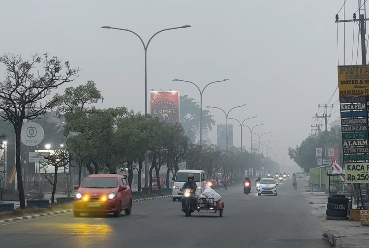 Paparan Asap Karhutla Bisa Picu Risiko Kanker Paru, Ini Penjelasan Dokter