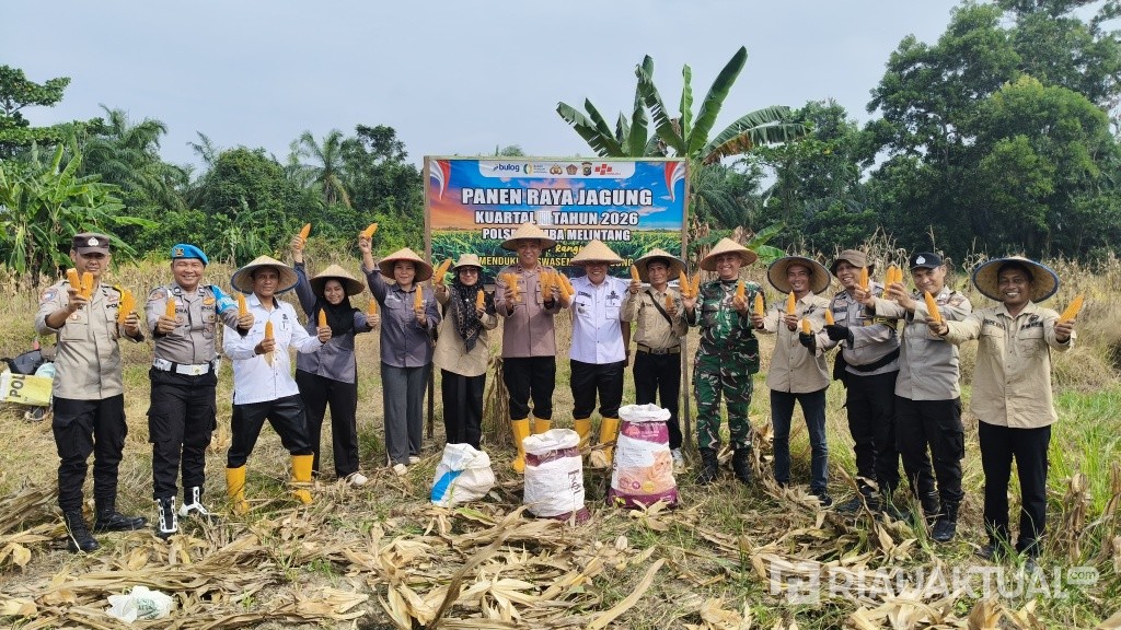 Dukung Swasembada Pangan Nasional, Polsek Rimba Melintang Panen Raya Jagung 1 Ton di Rohil