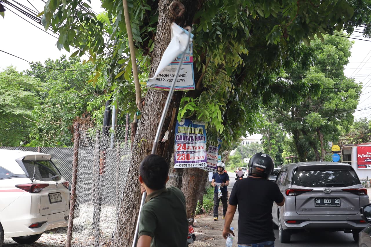 Ganggu Estetika Kota, Bapenda Pekanbaru Bongkar Iklan Liar di Pohon
