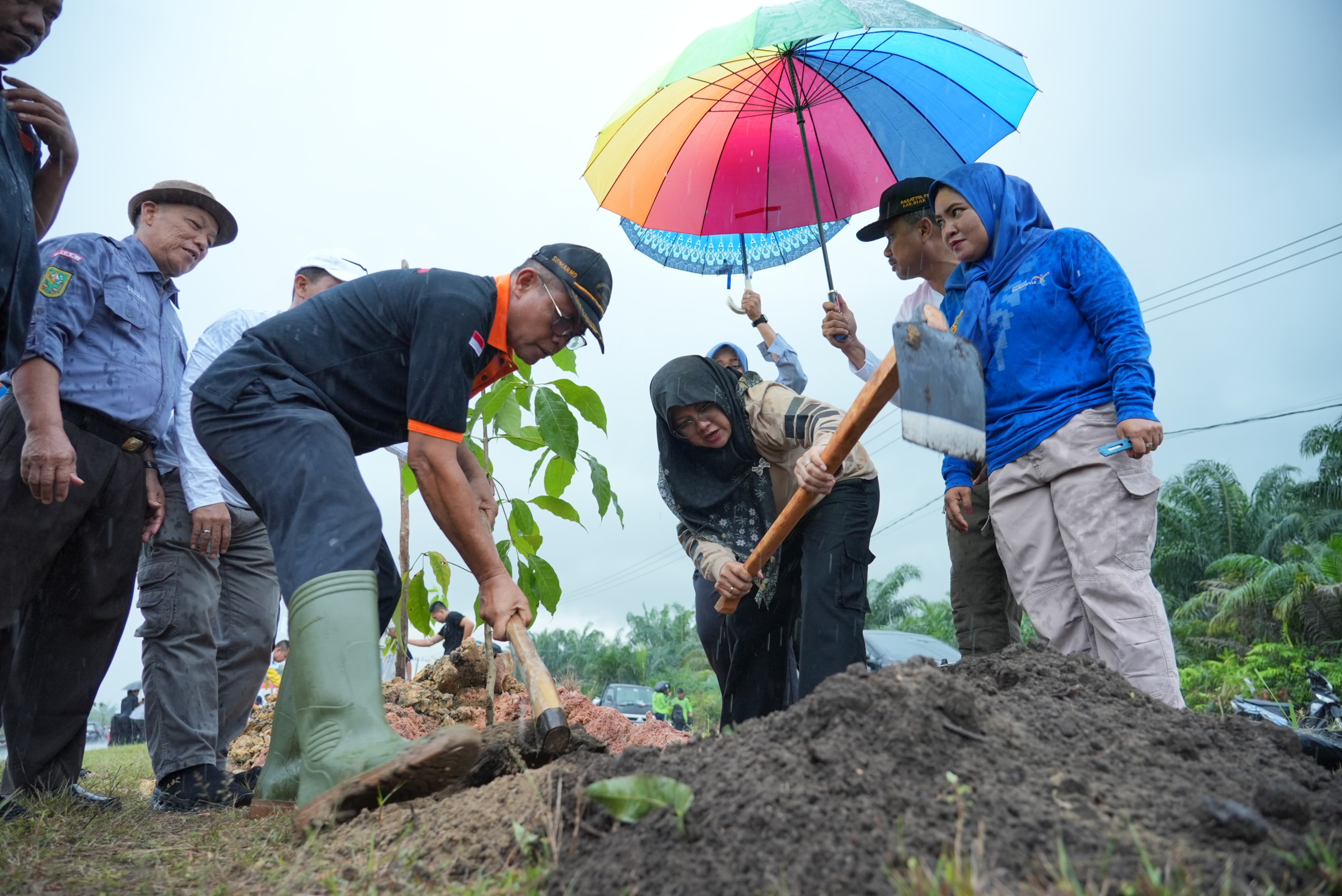 Bupati Afni Ajak Warga Siak Rawat Pohon, 5.050 Bibit Ditanam di Jalur Mempura-Dayun