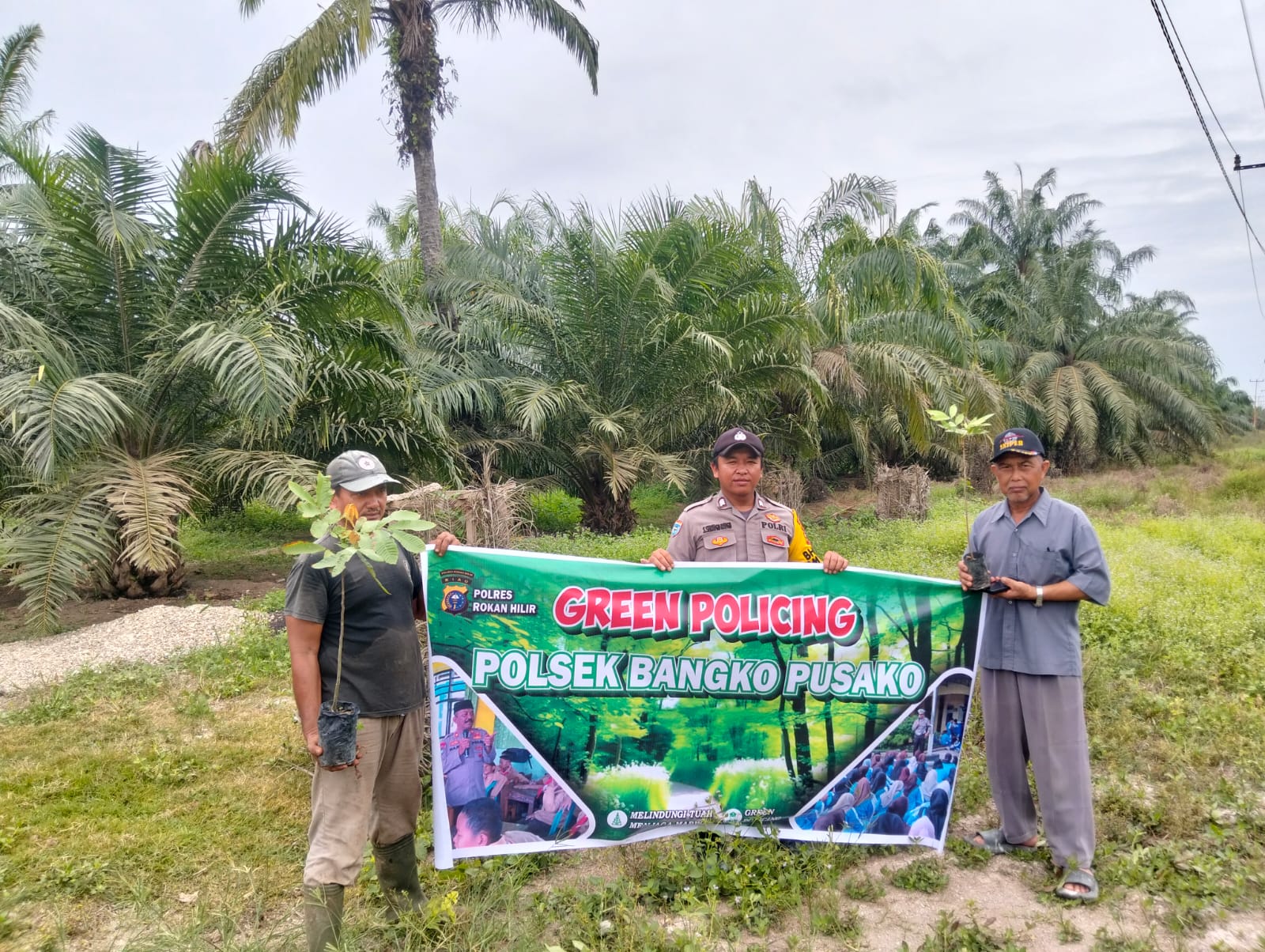 Dari Kamtibmas ke Lingkungan, Polisi Rohil Tanam Pohon Bersama Warga