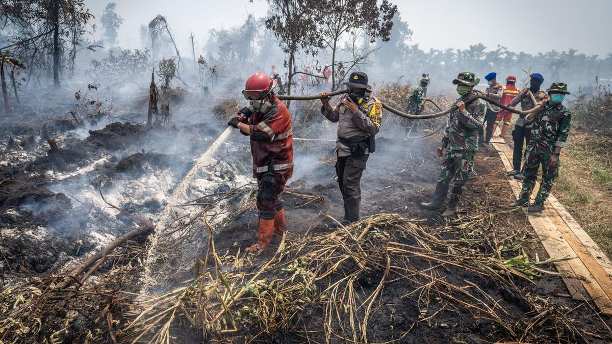 91 Titik Panas Terdeteksi di Riau, Indragiri Hulu Tertinggi