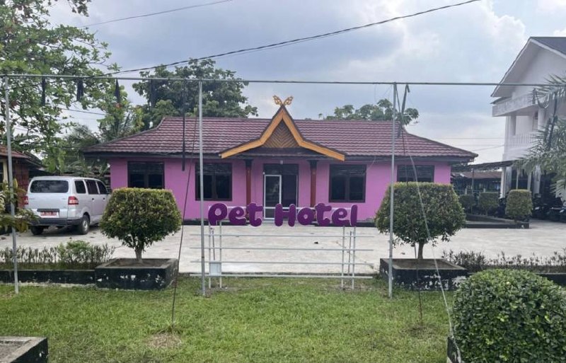 Permudah Layanan Pemilik Hewan Peliharaan, Pemprov Riau Sediakan Pet Hotel dan Ambulance