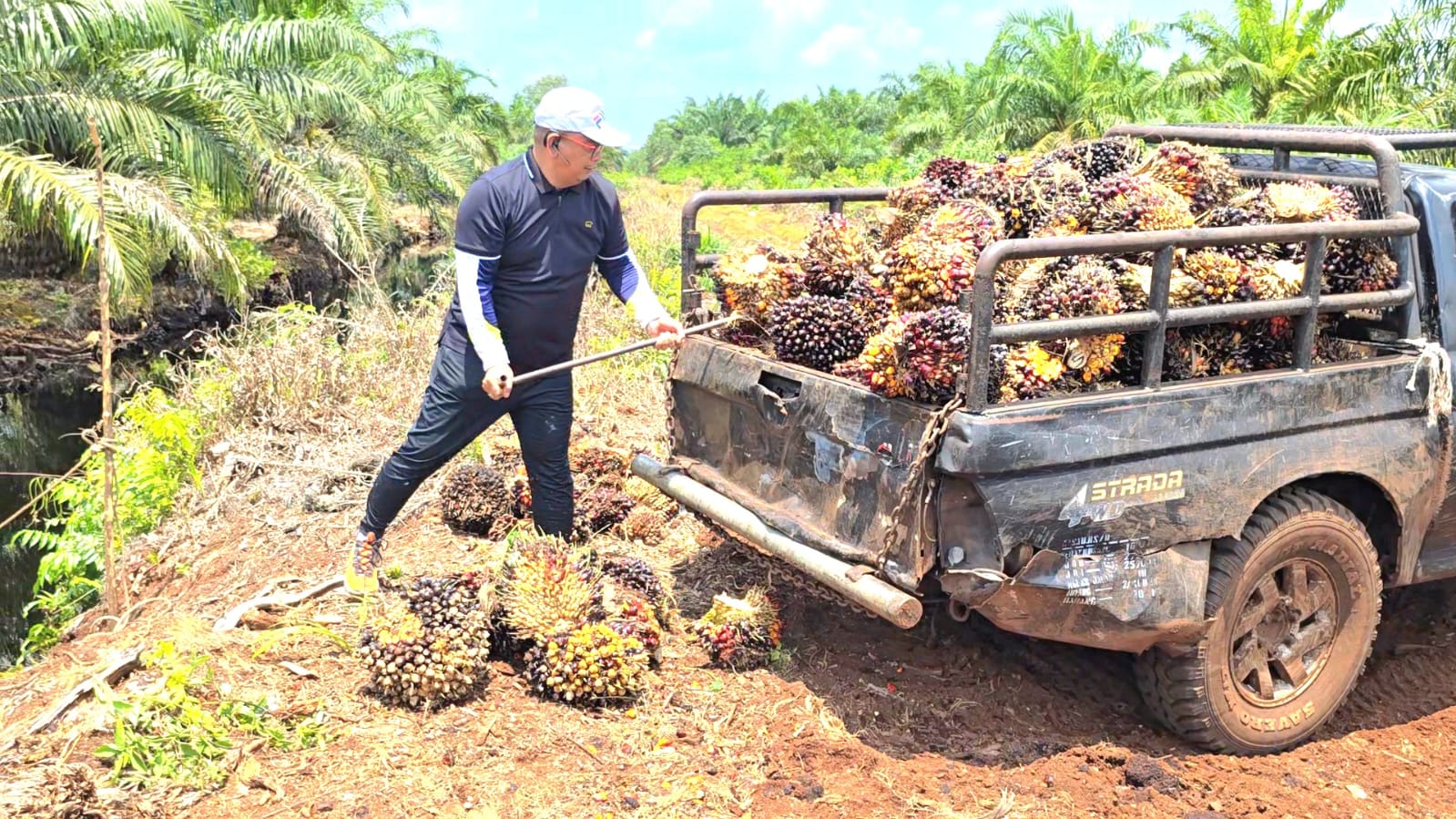 Apkasindo Ungkap Pentingnya Keberadaan PKS Tanpa Kebun untuk Petani Sawit