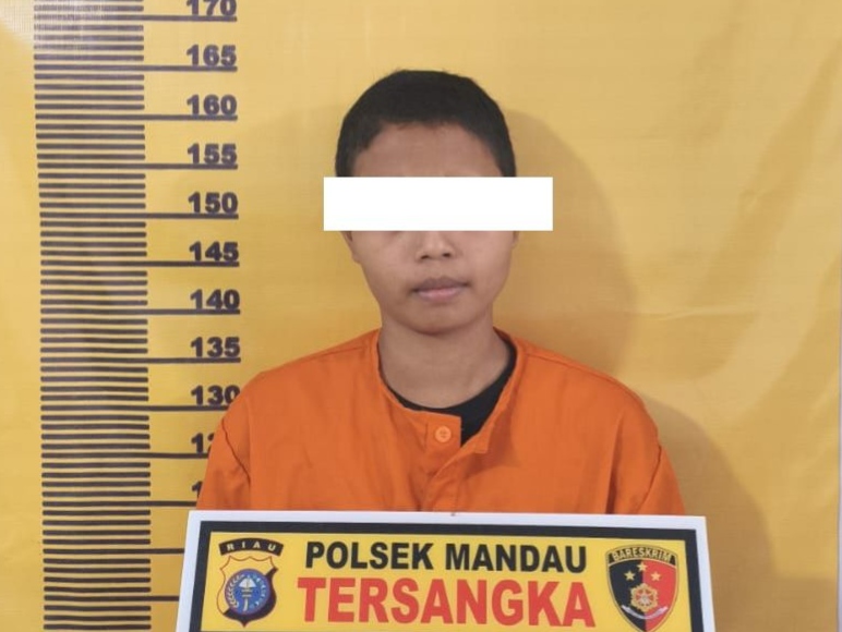 Modus Pinjam Kendaraan, Wanita di Mandau Gasak Dua Motor