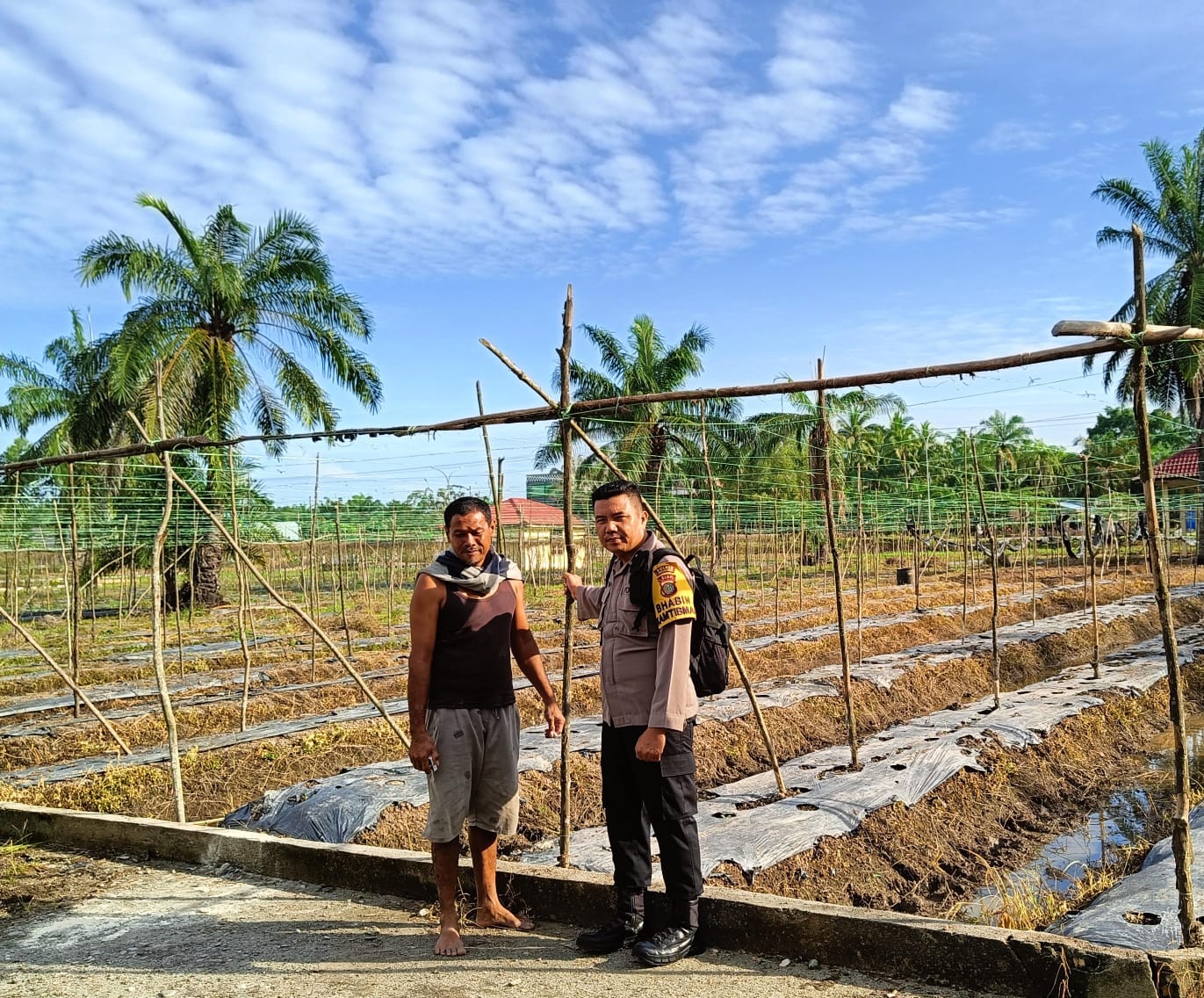 Polisi Sambangi Petani Timun di Rohil, Dukung Program Ketahanan Pangan Presiden