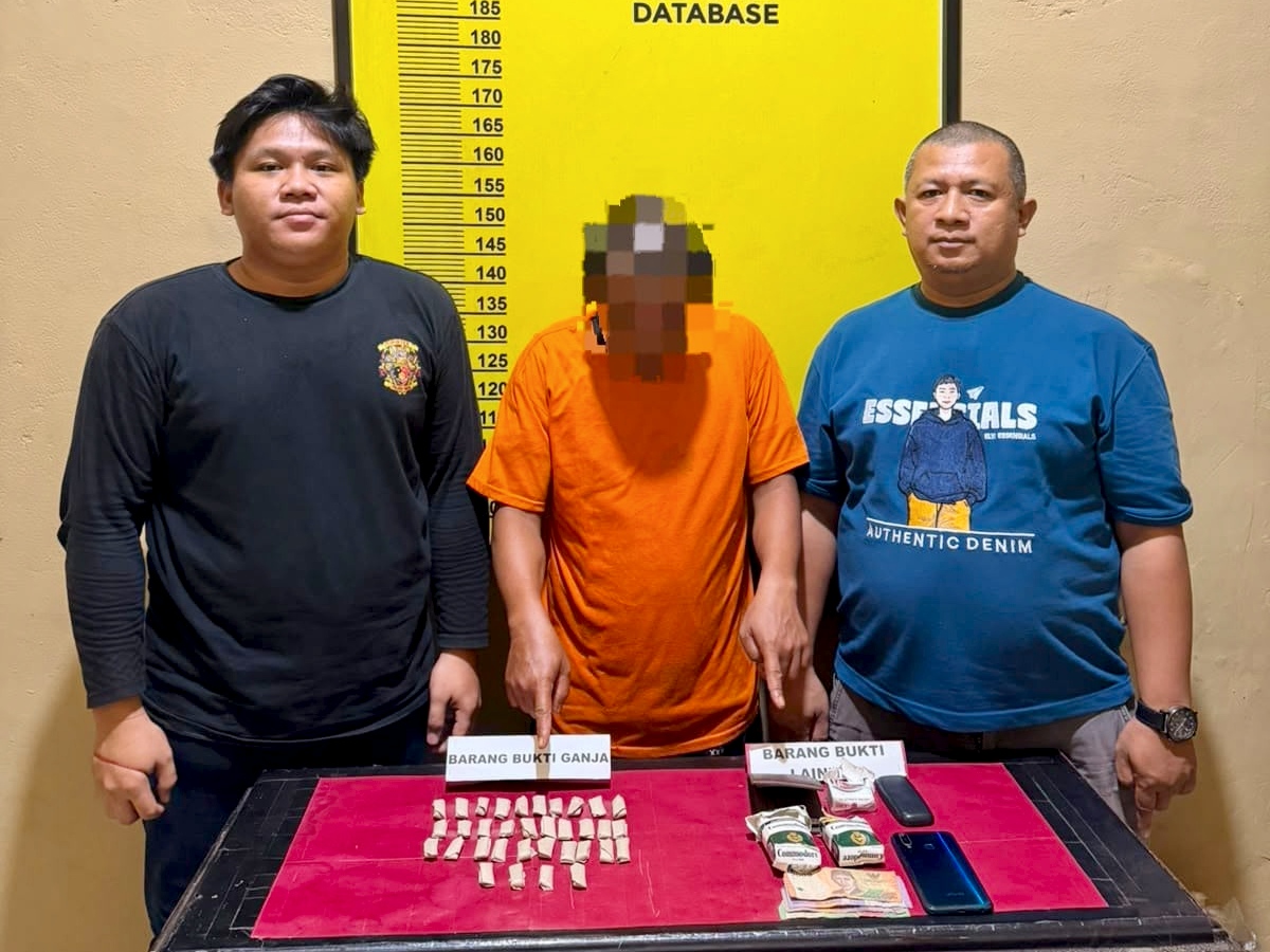 Polisi Tangkap Pria di Panipahan Rohil, 34 Paket Ganja Disita