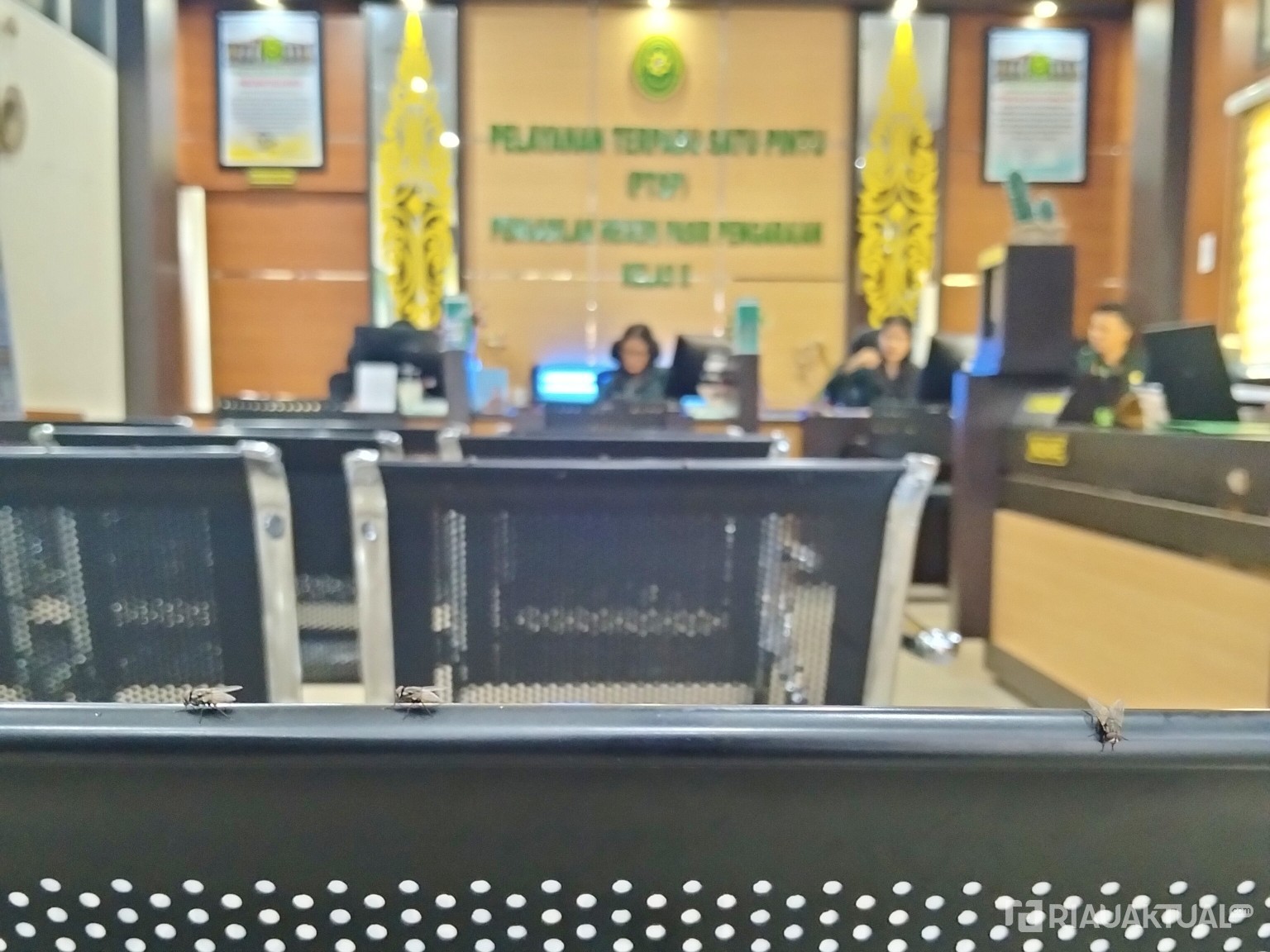 Lalat Serang PN Pasir Pangaraian di Rohul, Diduga Adanya Kandang Ayam