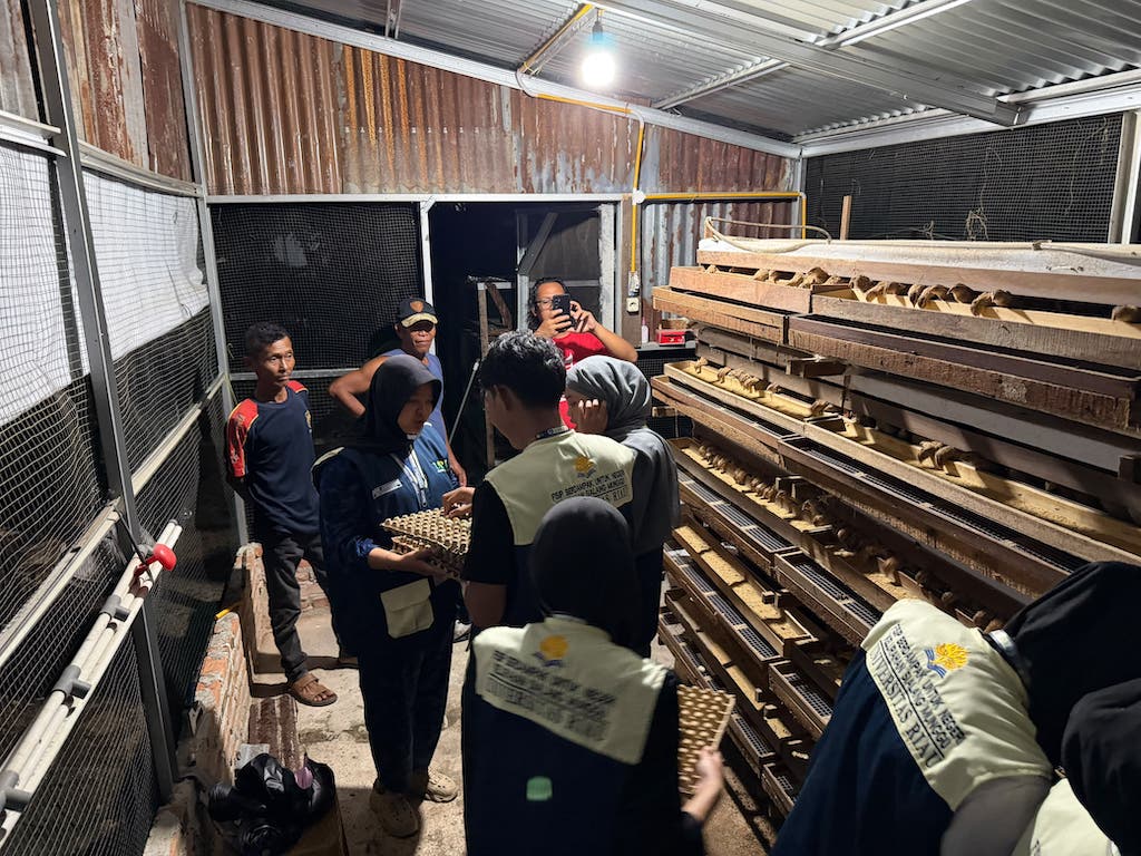 Mahasiswa KKN FISIP UNRI Belajar Langsung di Kandang Puyuh, Gali Peluang Bisnis hingga Ketahanan Pangan