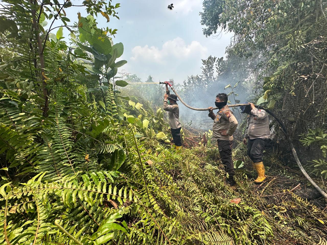 Masuki Hari Keempat, Karhutla di Sungai Sembilan Dumai Bakar 5 Hektare Lahan