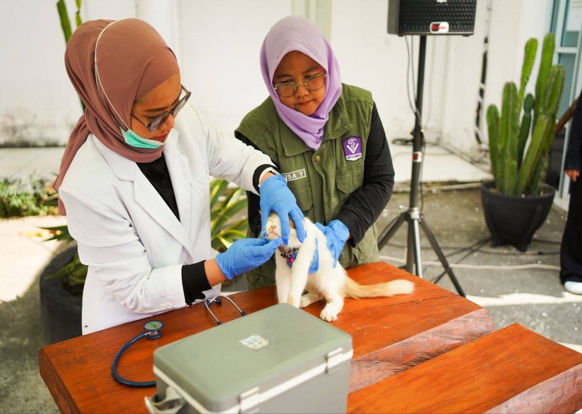Dalam Lima Tahun Terakhir, 7 Orang Meninggal Dunia Akibat Tertular Rabies