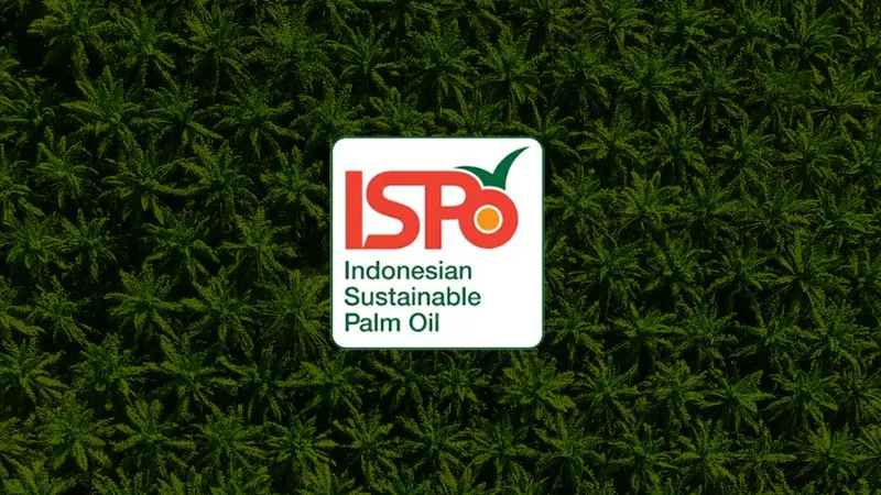 Realisasi ISPO Minim, Kadisbun Riau: Perlu Dukungan BPDP Agar Petani Tak Terbebani 