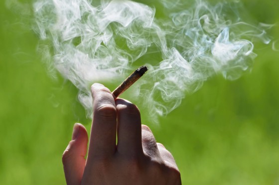 Anak Bupati di Riau Positif Ganja karena Terpapar Asapnya, Ini Penjelasan Dokter