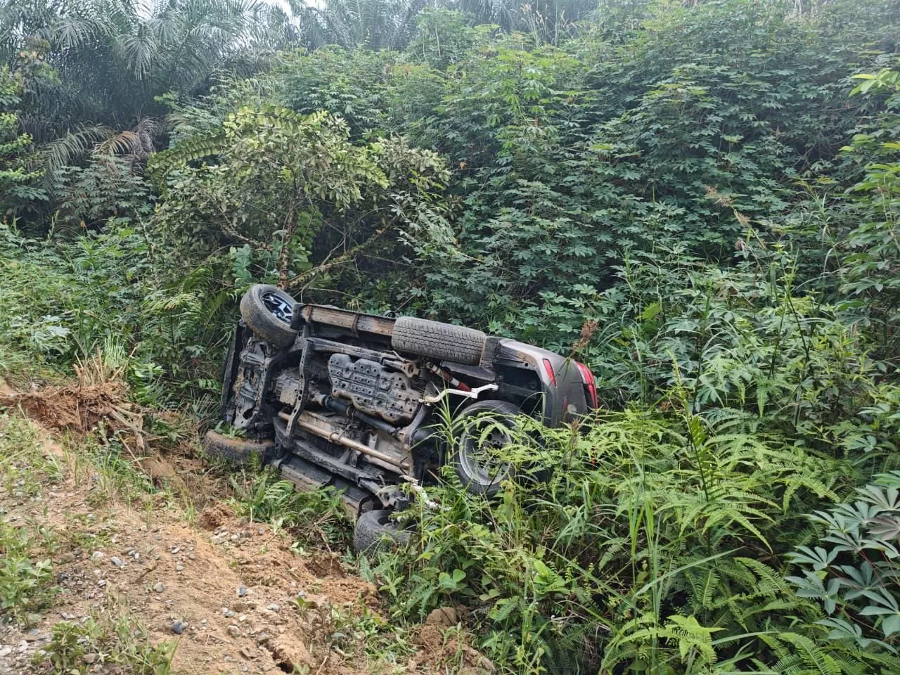 Kejar-kejaran di Rohil Berakhir Dramatis, Mobil Pengedar Sabu Terbalik 