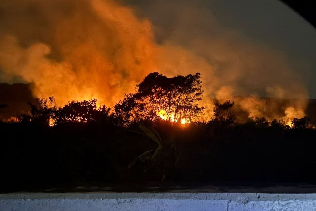 Luas Karhulta di Sungai Guntung Hilir Capai 471 Hektare