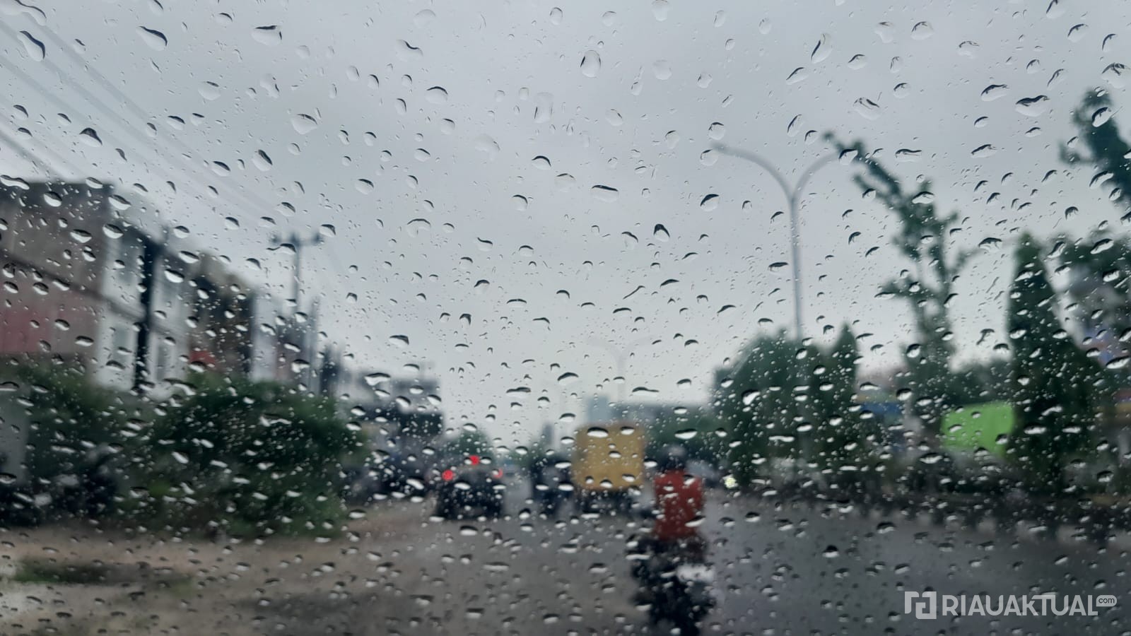 Hujan Tak Hilangkan Kabut Asap, Kualitas Udara Pekanbaru Masih Tidak Sehat