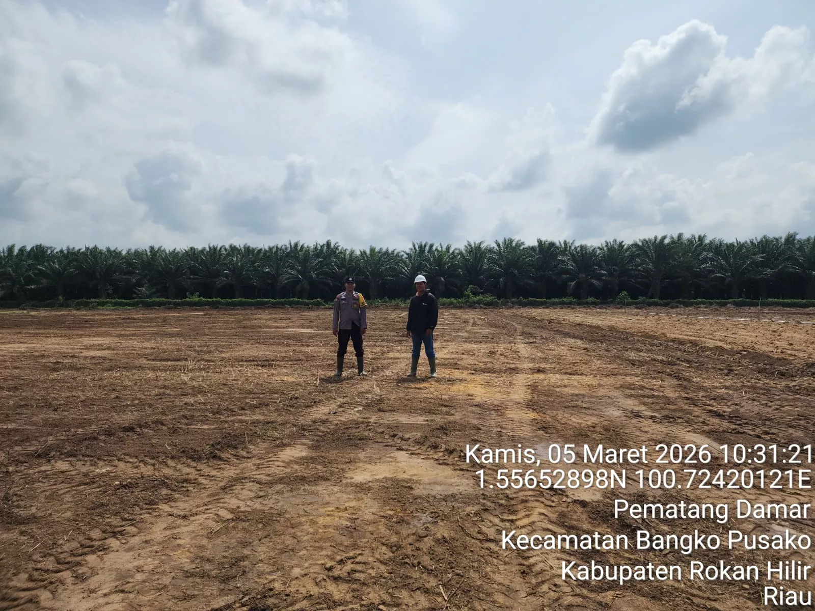 Jelang Tanam Jagung Nasional, Polisi di Rohil Turun Cek Lahan Perkebunan