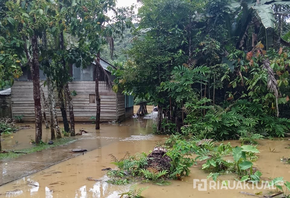 Luapan Sungai Subayang Rendam Aur Kuning, Aktivitas Warga Lumpuh
