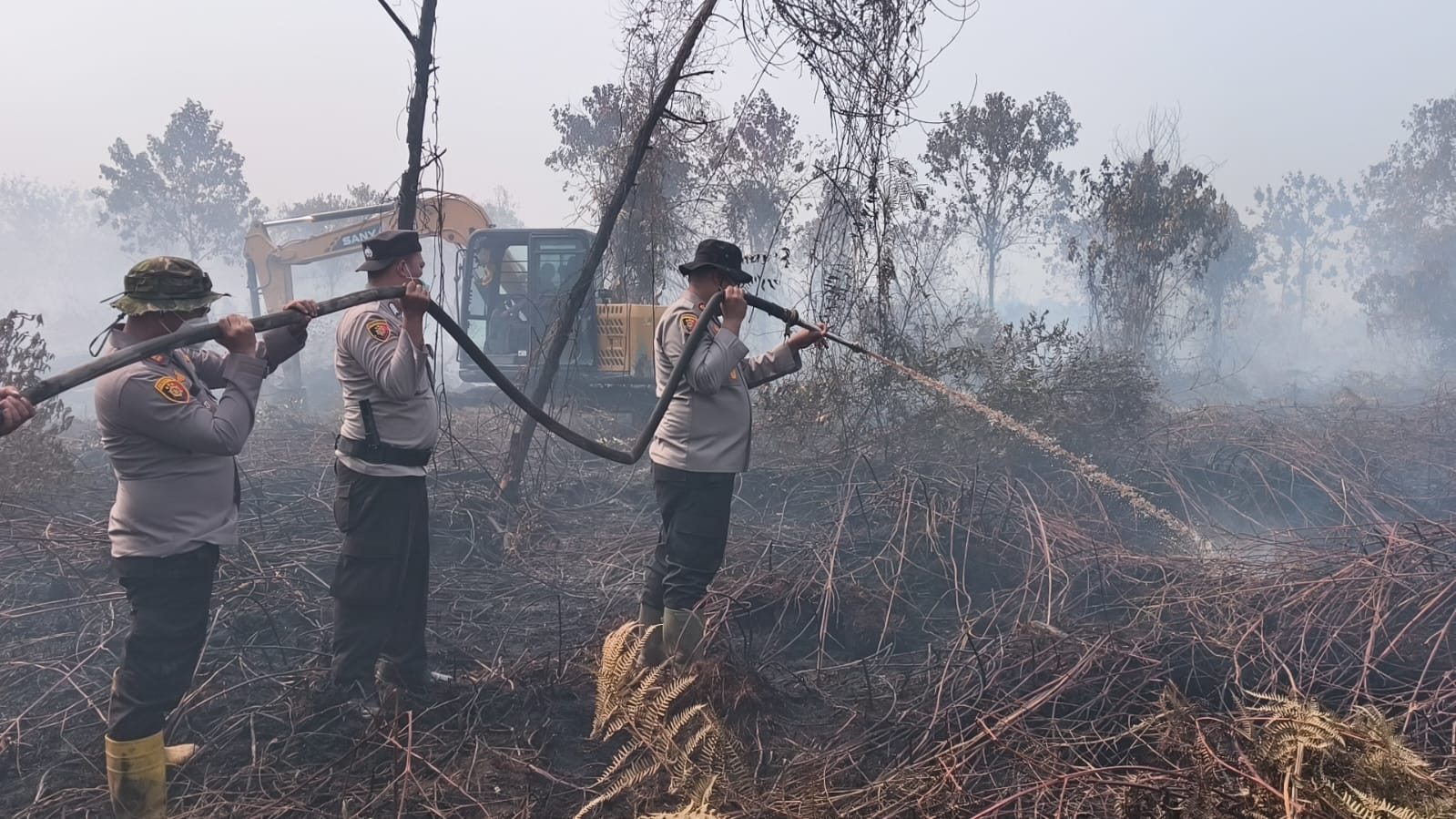 Hotspot Riau Turun Jadi 223 Titik, Pelalawan Masih Jadi Wilayah Terbanyak
