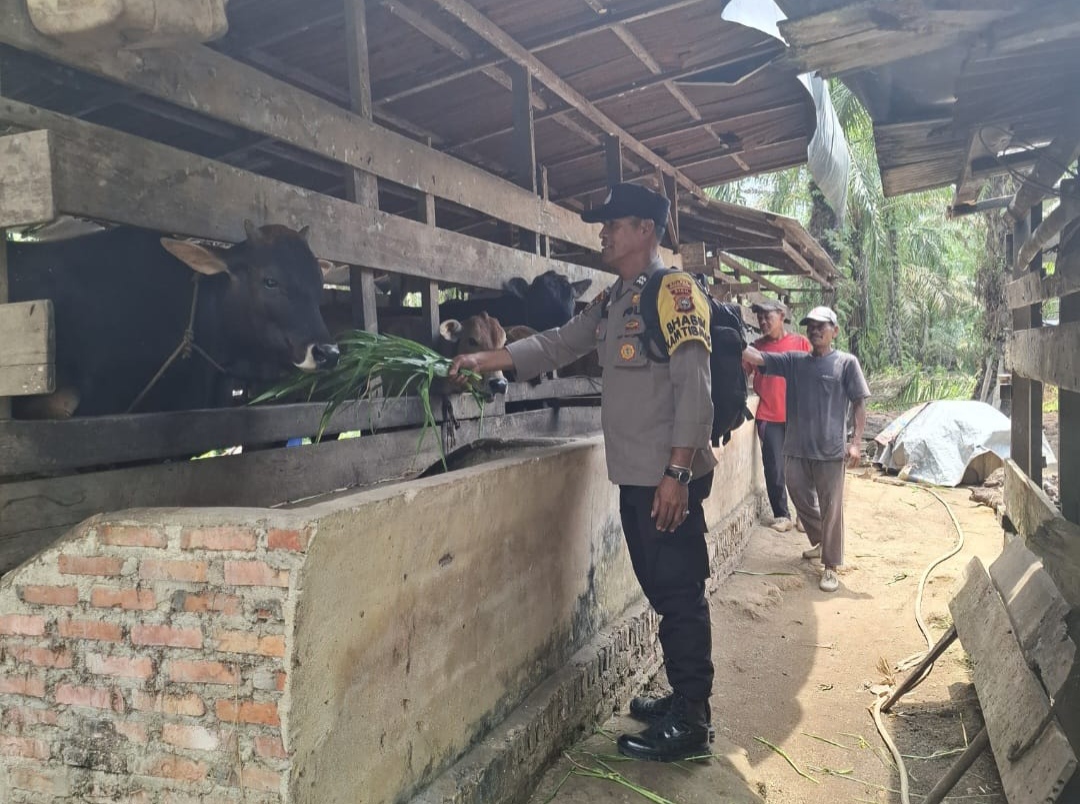 Dari Peternakan Warga, Polisi Bangko Pusako Dorong Ketahanan Pangan