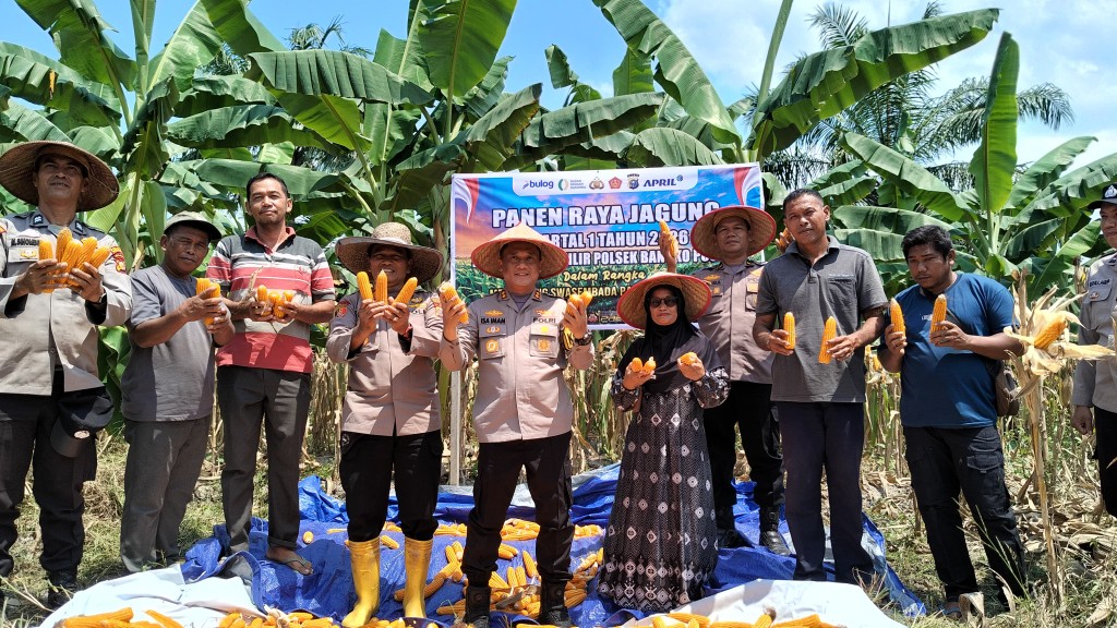 Panen Raya Jagung 2 Ton di Rohil, Polisi Turun Tangan Dukung Ketahanan Pangan
