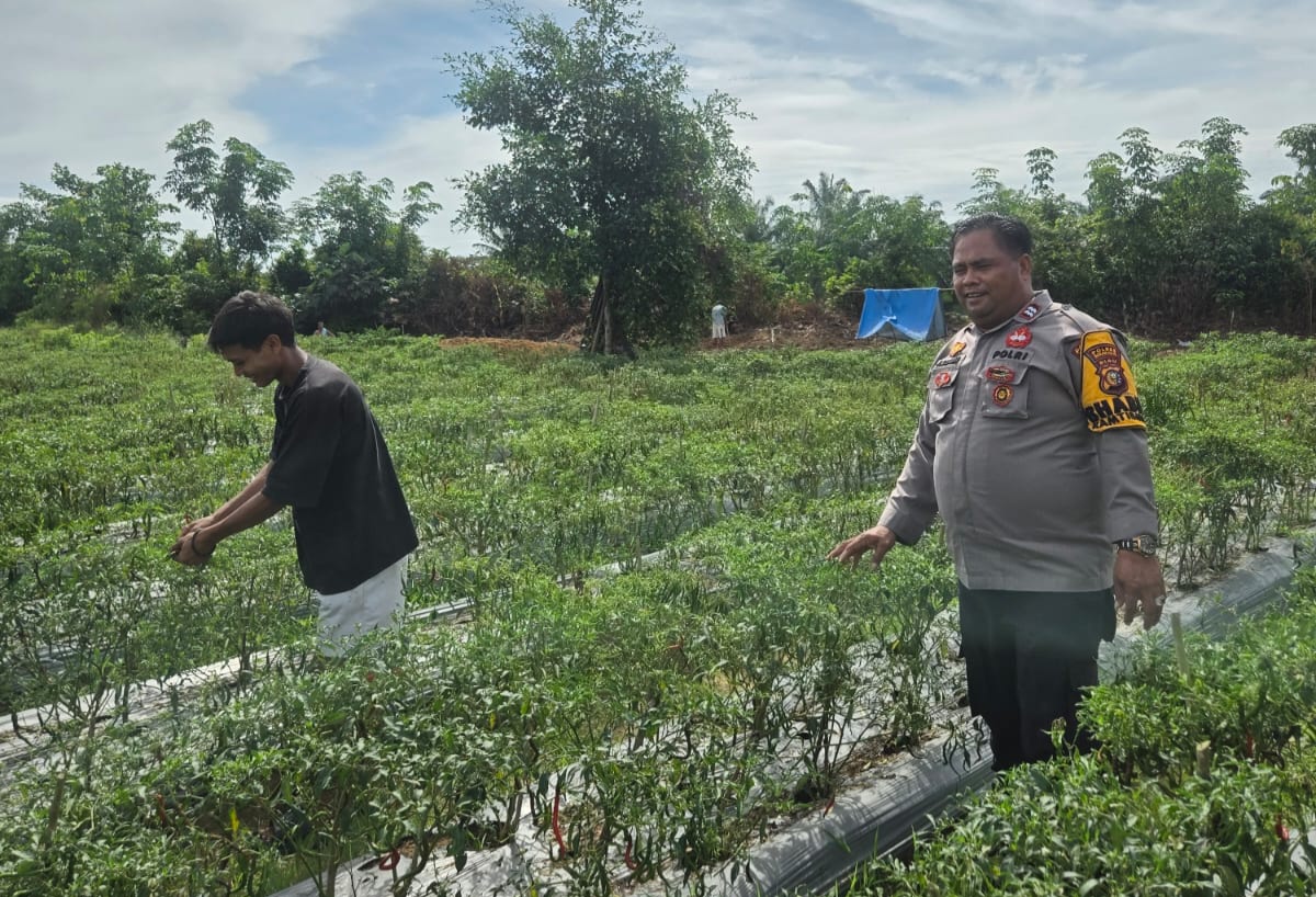 Sambangi Petani Cabai, Polisi di Rohil Dukung Program Asta Cita Presiden