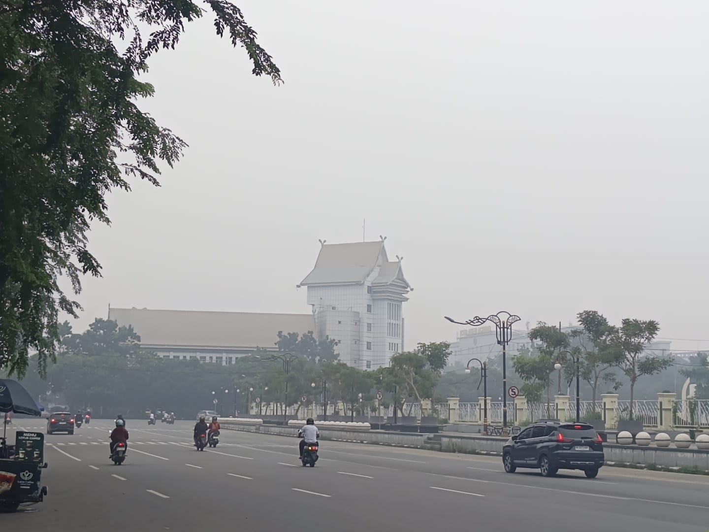 35.910 Warga Riau Terserang ISPA Akibat Karhutla