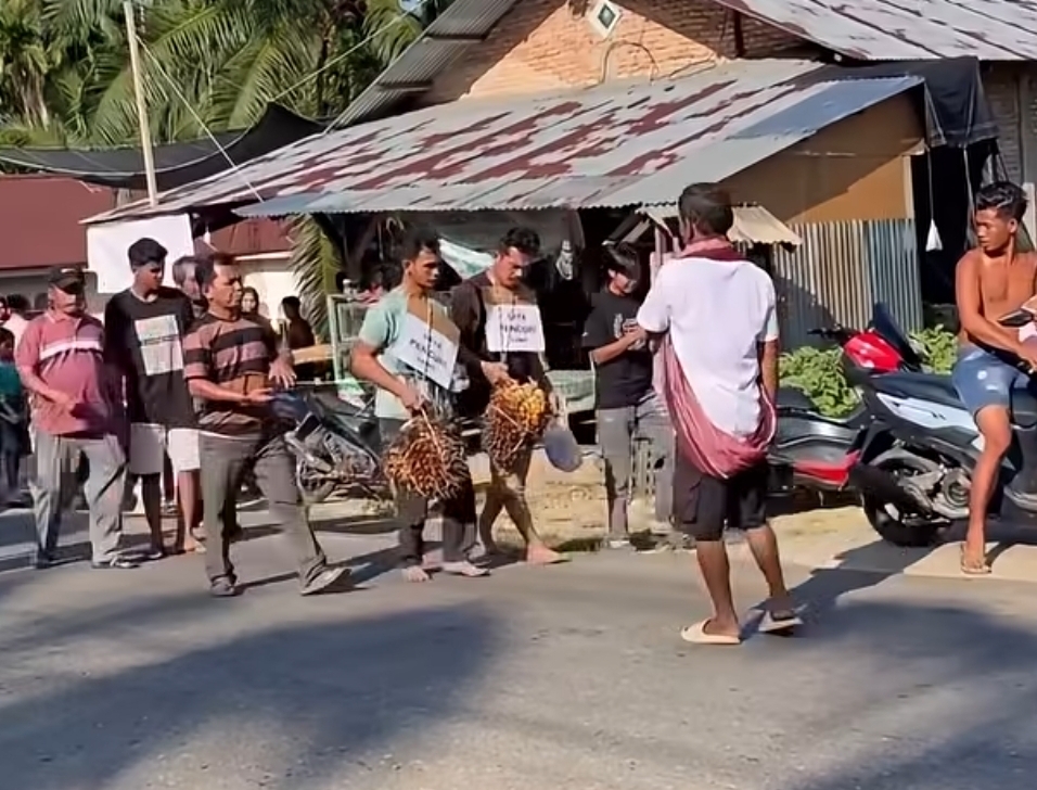 Maling Sawit Tertangkap di Rohul, Sempat Diarak Warga ke Polsek Tambusai