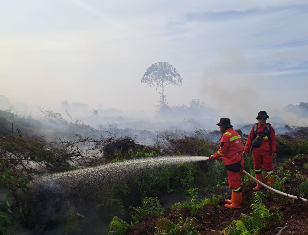 Karhutla di Riau Belum Padam, Manggala Agni Tambah Personel ke Rupat dan Rohil