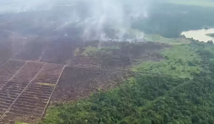 346 Titik Panas Terdeteksi di Riau Hari Ini, Terbanyak di Inhil 