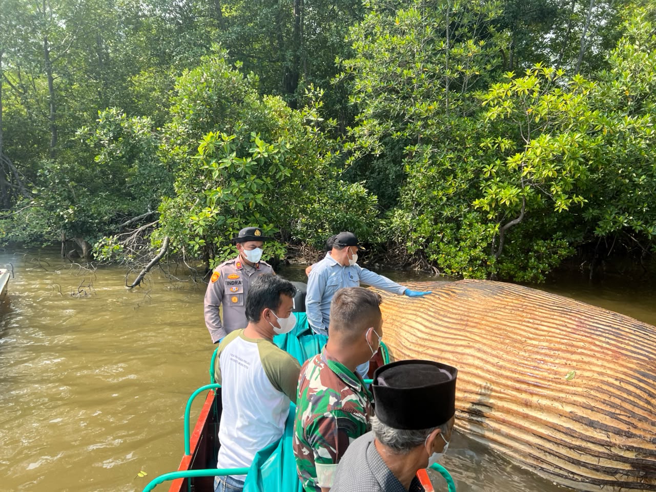 KKP Kirim Sampel Bangkai Paus di Inhil ke BRIN untuk Pastikan Jenisnya