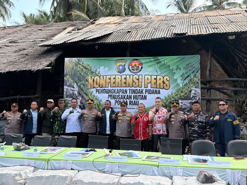 Polda Riau Bongkar Perambahan Mangrove di Rupat Utara, Arang Dikirim ke Malaysia