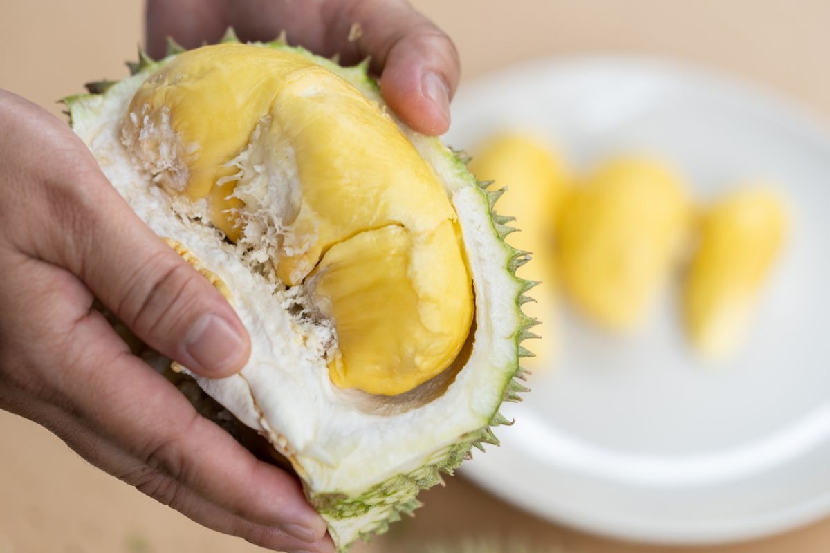 Sering Dianggap Pantangan, Apakah Durian Mengandung Kolesterol?