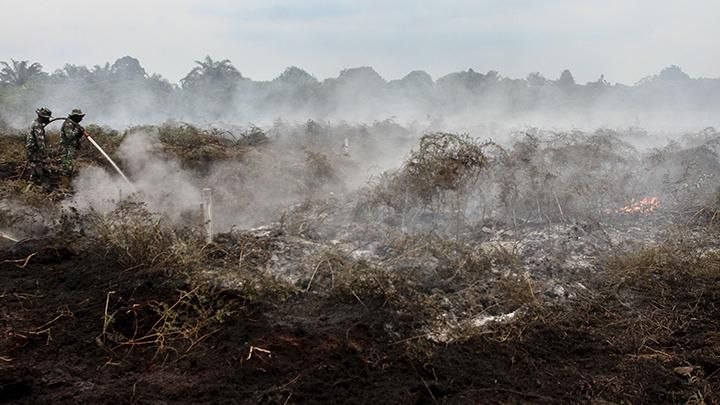 Luasan Karhutla Capai 15.477 Hektare, Riau Masuk Daftar Prioritas Penanganan Karhutla Nasional