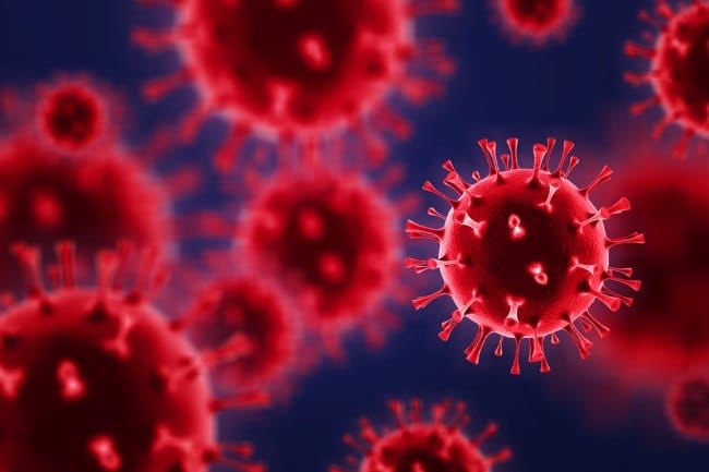 Apakah Hantavirus Bisa Jadi Pandemi? Ini Kata Ahli