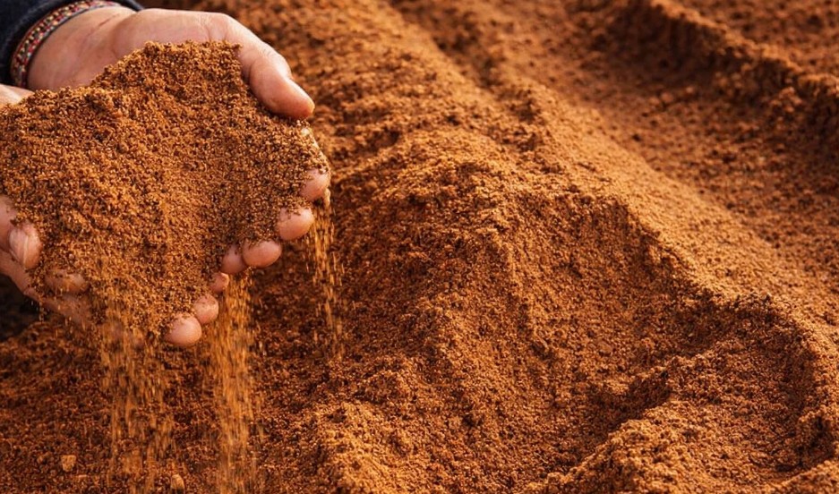 Bernilai Ekonomi Tinggi, Bungkil Sawit Diusulkan Masuk Instrumen Harga TBS di Riau