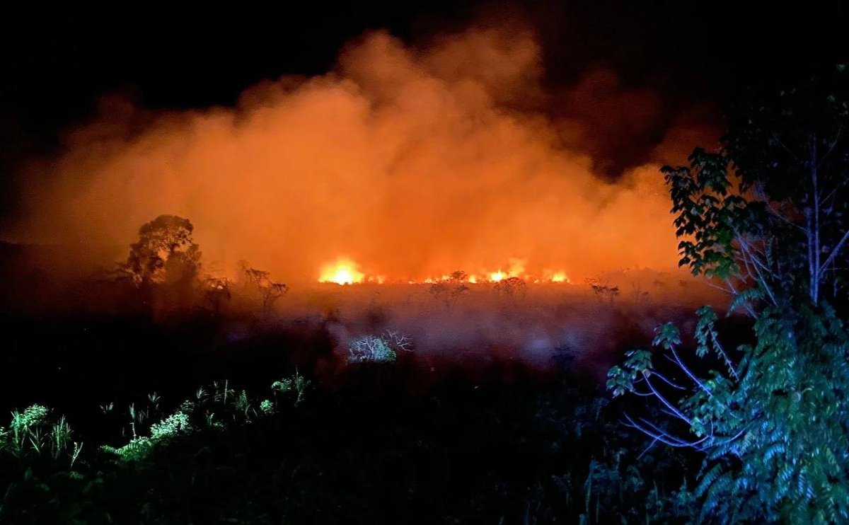 Hingga 27 Agustus, Total Karhutla di Riau Capai 16 Ribu Hektare