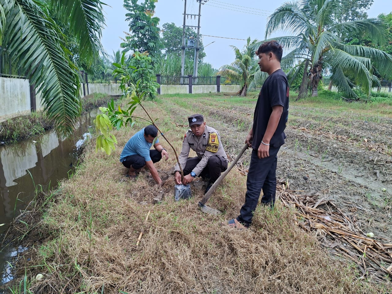Polsek Rimba Melintang Sosialisasikan Green Policing dan Tanam Bibit Pohon di Lenggadai Hilir