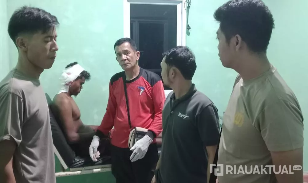 Istirahat di Pompong, Warga Pelalawan Diserang Harimau Sumatera