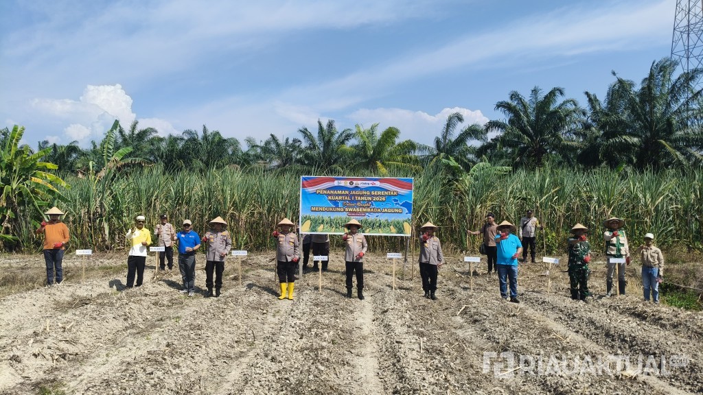 Dukung Asta Cita Presiden, Kapolres Rohil Pimpin Penanaman Jagung Serentak