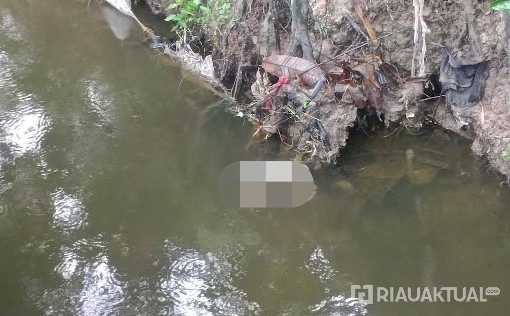 Mayat Bayi Ditemukan Mengapung di Parit Graha Panam Permai Pekanbaru