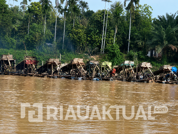 Ironi Pacu Jalur 2026, Puluhan Ponton PETI Disebut Masih Beroperasi di Sungai Kuantan