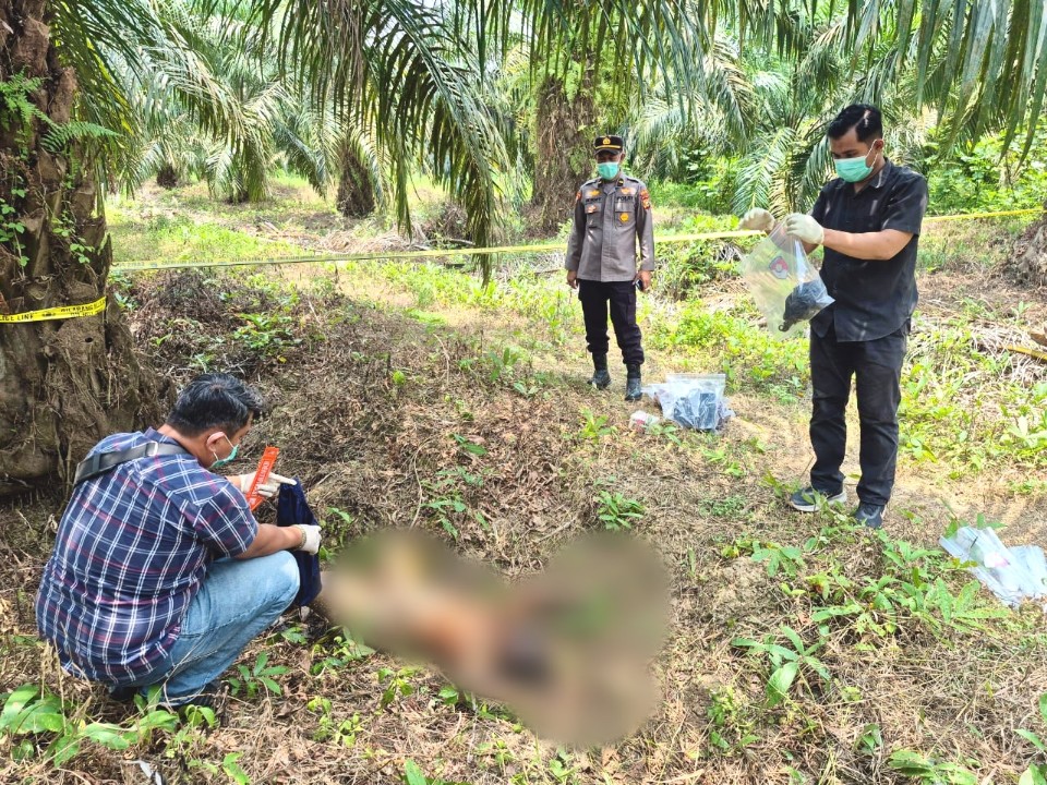 Hilang Lima Hari, Perempuan Ditemukan Tewas di Kebun Sawit Inhu